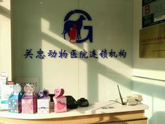 -瑞派·关忠动物医院·猫专科·犬专科(三环新城店)