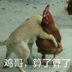 -上美四季动物农场