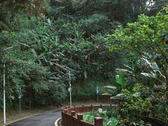 -黄埔油麻山森林公园