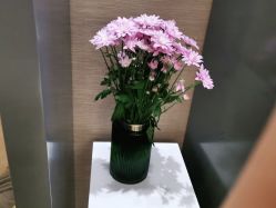 -栖SPA·ONDA ·海菲秀·皑皑科技美肤中心