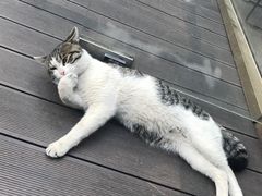 -UNI UNI(环亚凯瑟琳店)