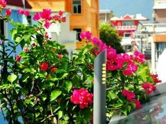 android_upload_pic-深圳大旅小舍精品艺术民宿