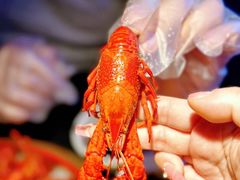 -虾乐园龙虾·夜宵(松江店)