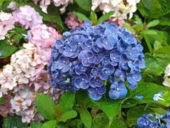 -共青国家森林公园-售票处