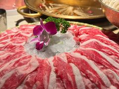 -小龙坎火锅(全球旗舰店)