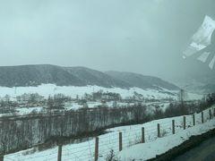 -泉儿头杂碎·清真(城东总店)