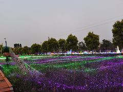 -广东花都香草世界旅游度假区