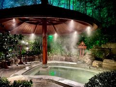 -天目湖御水温泉·度假酒店