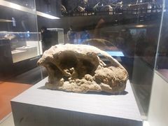 -世界恐龙谷景区