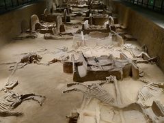 -洛阳周王城天子驾六博物馆