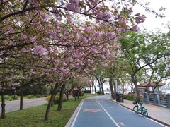 -渤公岛生态公园