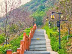 -小南山公园