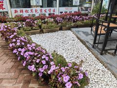 -蘑统田下·野生菌火锅