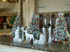 -常州环球恐龙城维景国际大酒店