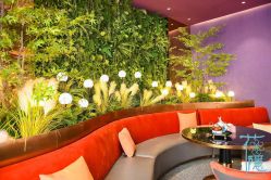 点击看大图 -花隐·美芙炫海菲秀皮肤管理中心