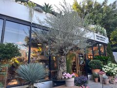 -自由生长植物工作室(深港花卉中心店)
