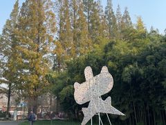 -黄海国家森林公园