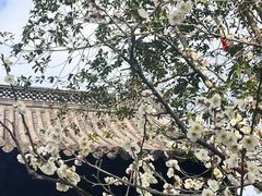 -钱王祠