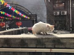 -何适山庄 ·可团建(水长城P2停车场店)