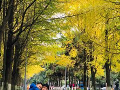-四川大学(望江校区)