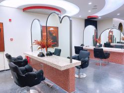 点击看大图 -IP SALON
