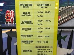 -芜湖新华联大白鲸海洋公园