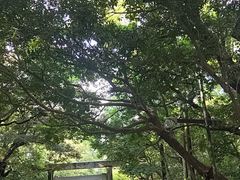 -热田神宫