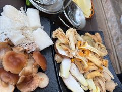 -蘑统田下·野生菌火锅