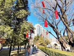 -团结湖公园