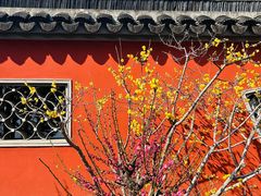 -无锡梅园公园