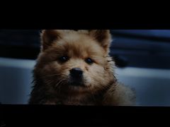 -嘉华国际影城(学清路店)