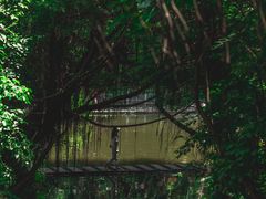 -燕晗山郊野公园