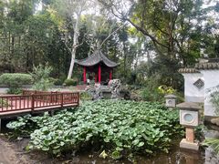 -深圳国际园林花卉博览园