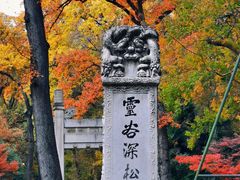-灵谷景区