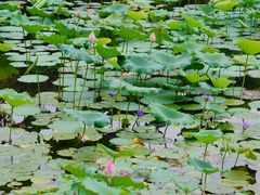 -烈士陵园(地铁站)