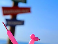 -三亚海棠湾万丽度假酒店