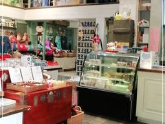 -猫咪博物馆(顶澳仔猫街店)