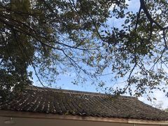 -西院1号(龙井店)