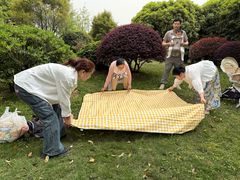 -铁山坪森林公园