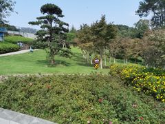 -铁山坪森林公园