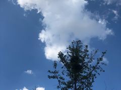 -甘井子公园
