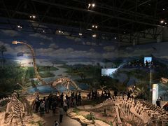 -自贡恐龙博物馆