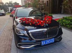 -蚂蚁婚车