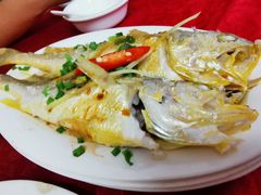 -蛇口康乐快餐鱼仔档(翠苑小区店)