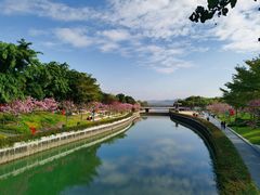 -深圳湾公园(南山区)