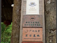 -天门沟九州驿站树上汤泉