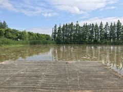 -上海长兴岛郊野公园