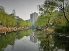 -皇家御河游(紫御湾码头)