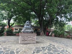 -公园茶楼粤式点心