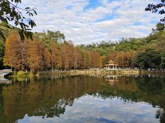 -深圳仙湖植物园